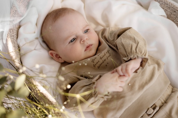 Little LEVV (Merken) - Fo & Fie