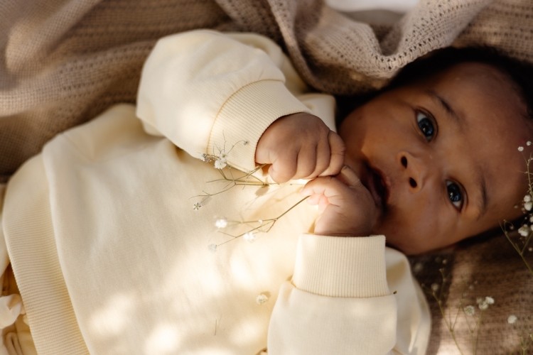 Little LEVV (Merken) - Fo & Fie