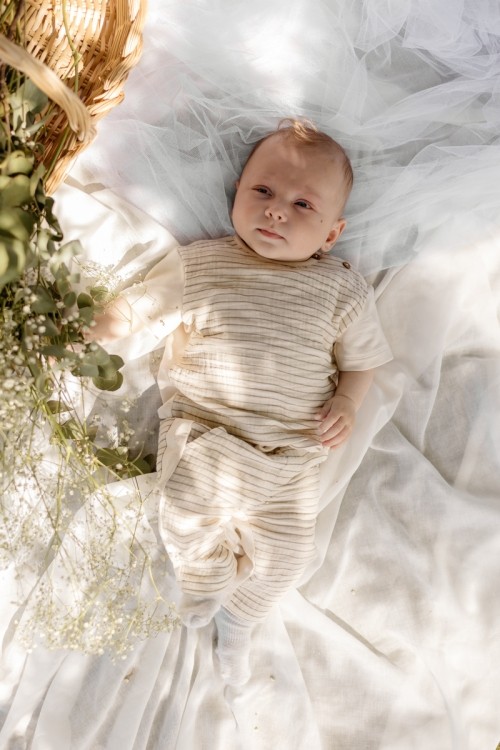 Little LEVV (Merken) - Fo & Fie